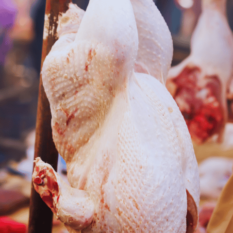 fresh poultry market